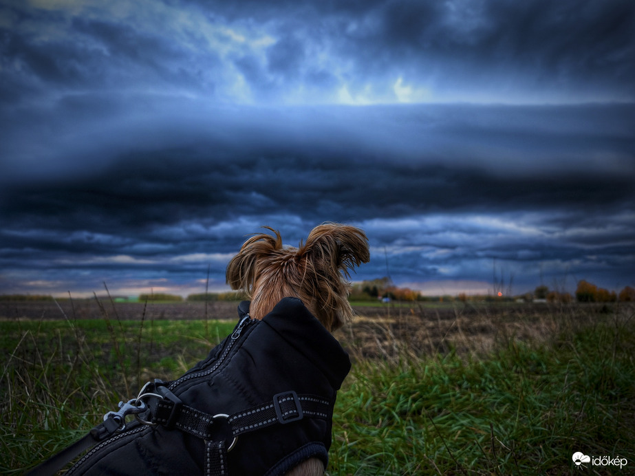 Októberi frontvonalban