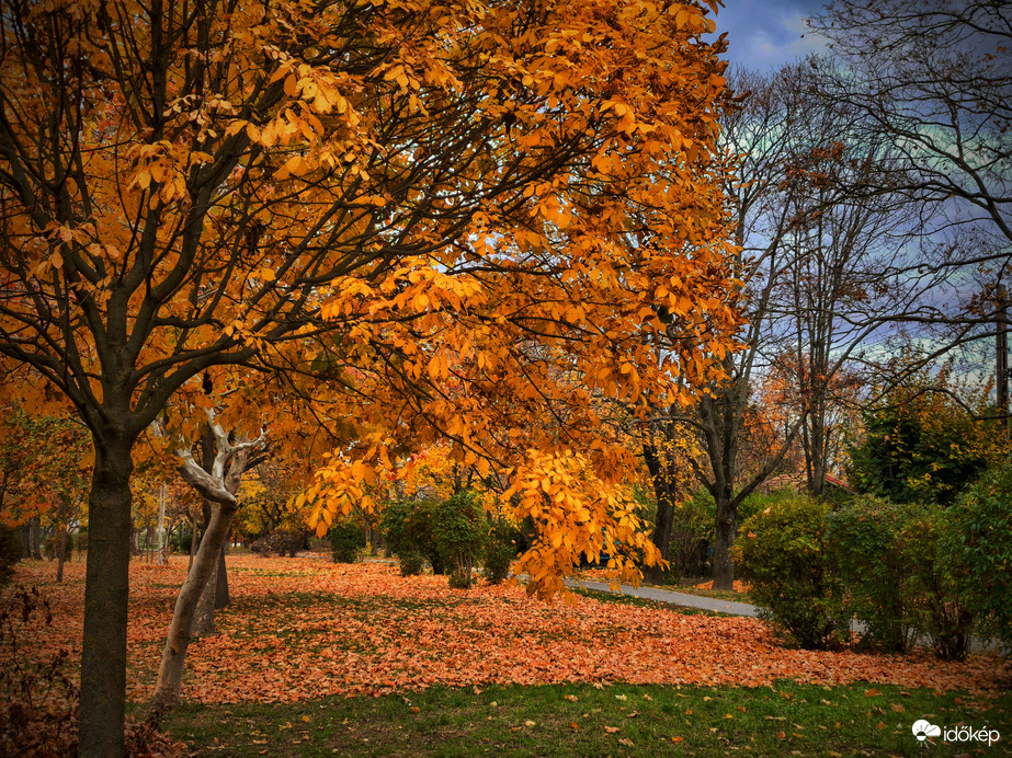 Park az őszi levélkarnevál végén
