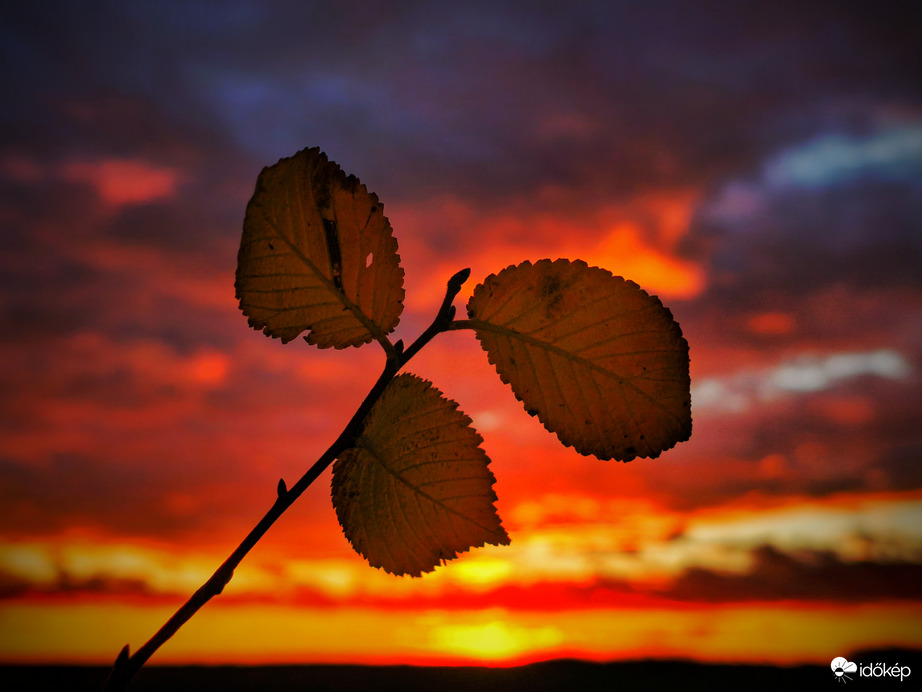 A szerencsés hármas