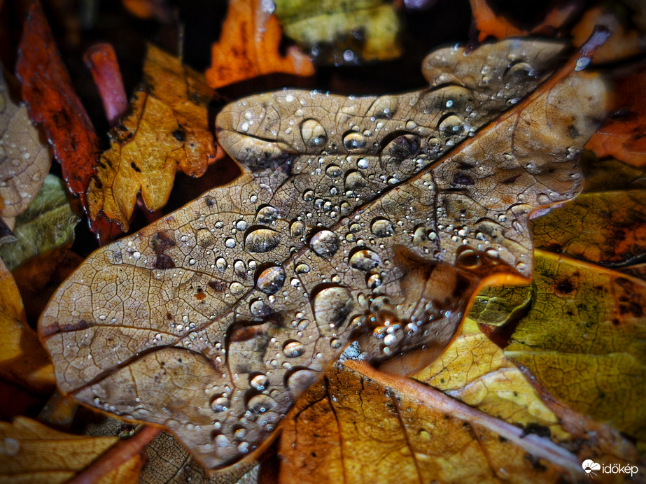 Csepergős idő esti varázsa