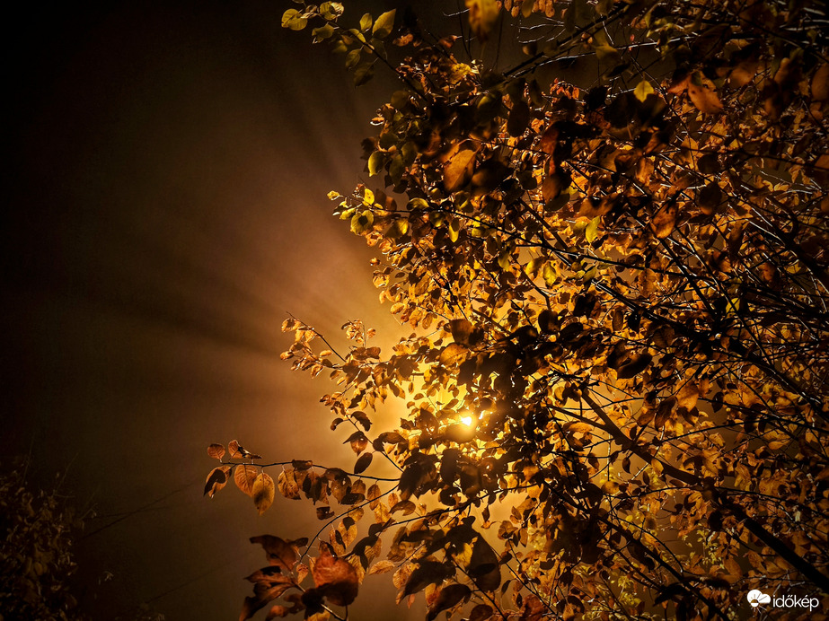 Novemberi aranyozott esti köd