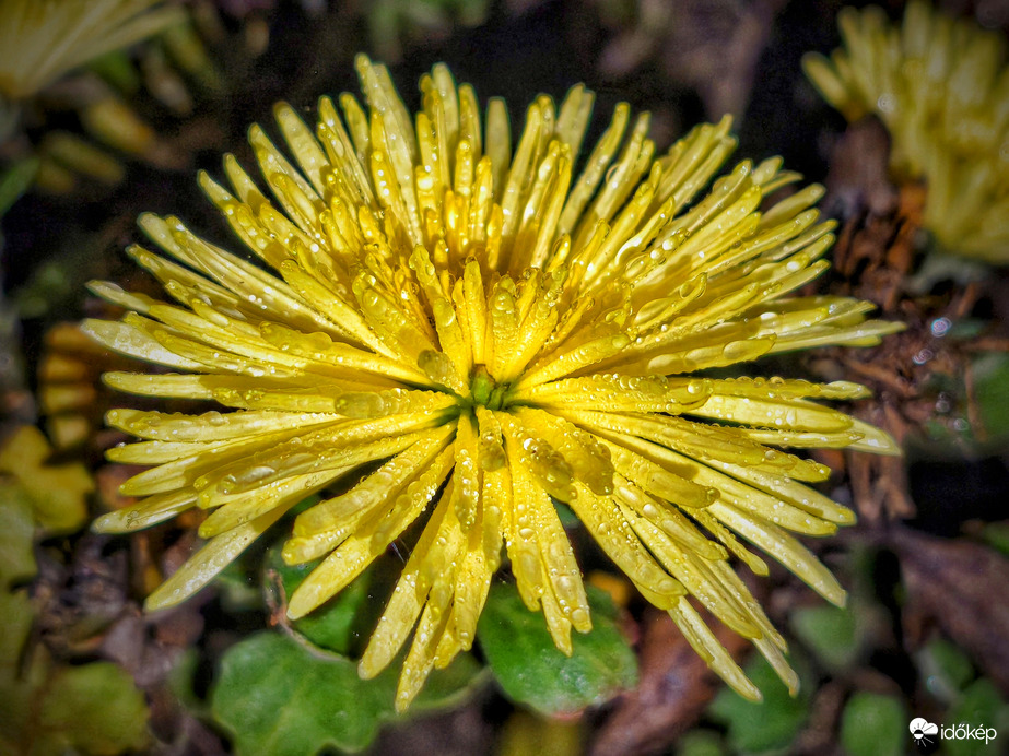 Ködszitálás által zománcozva