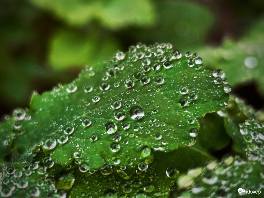 Megannyi hasonmásam köszönt vissza rám