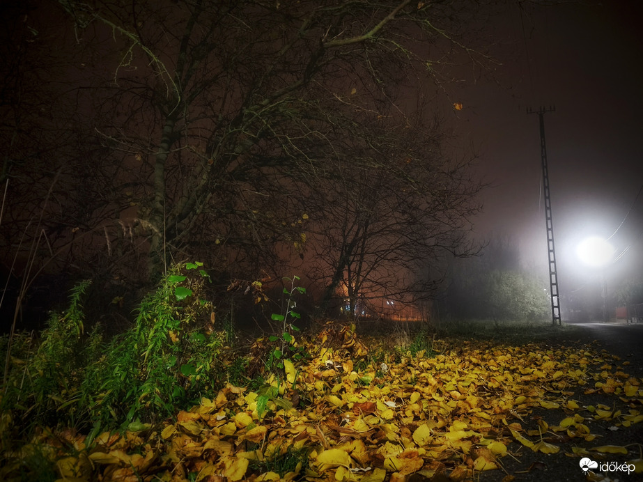 Levetette őszi ruháját november közepére ez a fa is