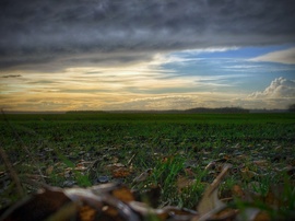 Gyorsan átvonuló záporeső