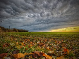 Novemberi mammás műsor kezdetén