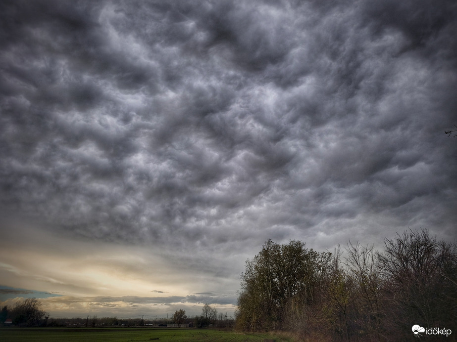 Mammák fogadtak a zápor után
