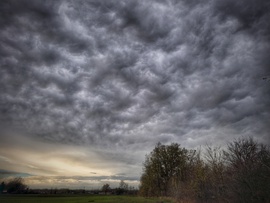 Mammák fogadtak a zápor után
