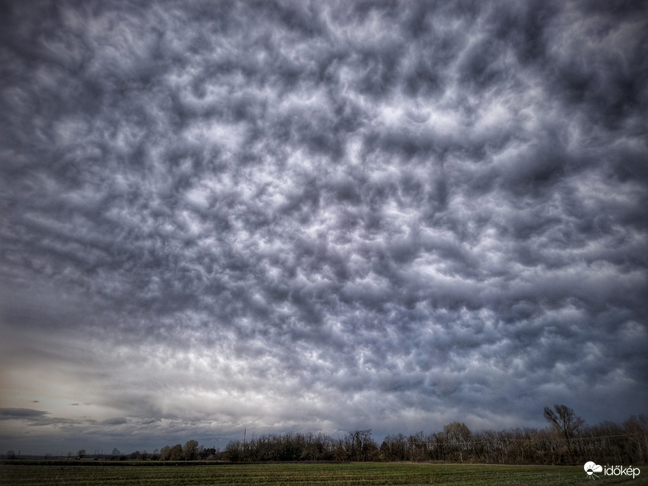 Novemberi mammák viharok nélkül