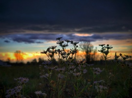 Korábbra tevődött az amúgy is korai sötétedés