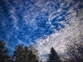 Délelőtti részletgazdag műalkotás