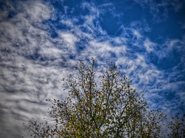 Erősen fogyatkozó levelek felhők varázsával