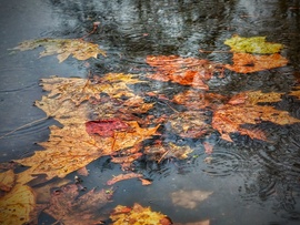 Egy kis szünet után érkezik is a folytatás