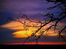 Novemberi visszafogott naplemente