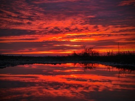 Novemberi alkonyat tüzes tükre