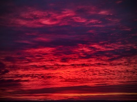 November utolsó napja előtti színorgia