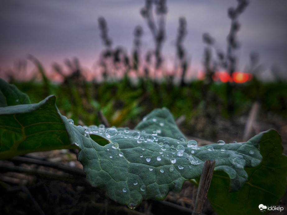 Gyöngyök borús naplementéje