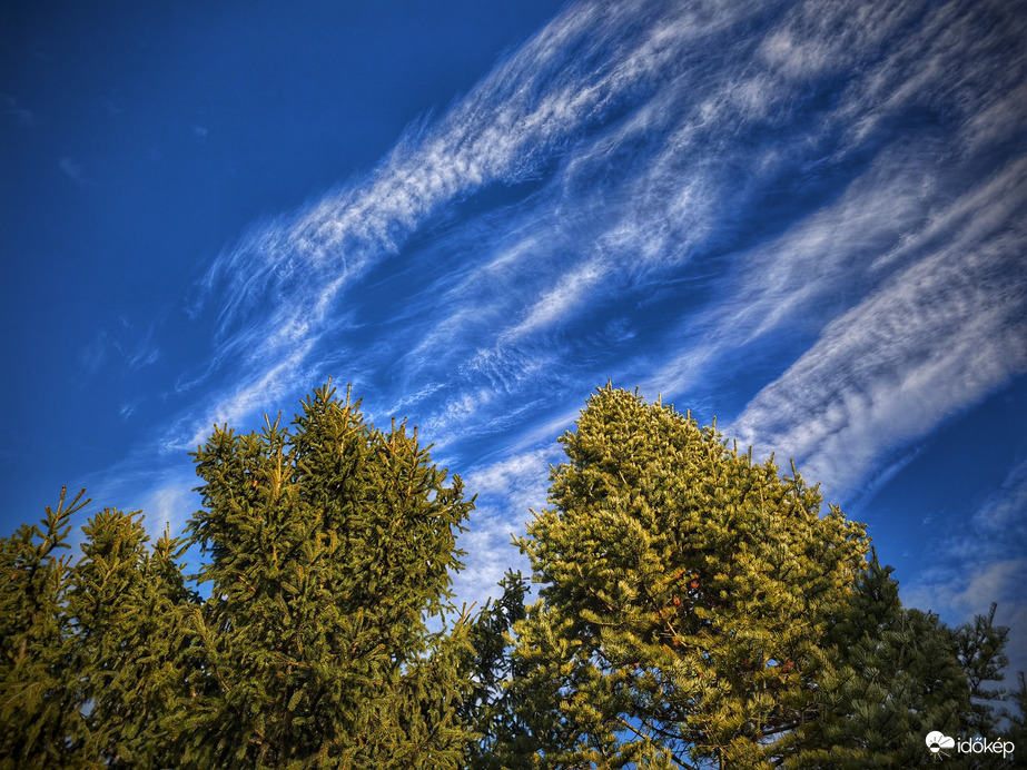 Napsütötte fenyők és a látványos égi vonulás