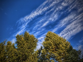Napsütötte fenyők és a látványos égi vonulás