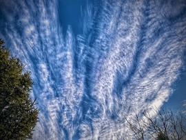 Rövid idejű, de annál látványosabb felvonulás