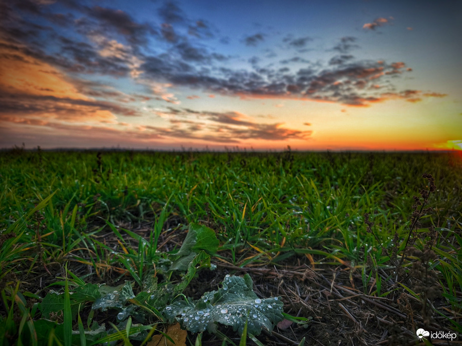 Üde decemberi színes táj