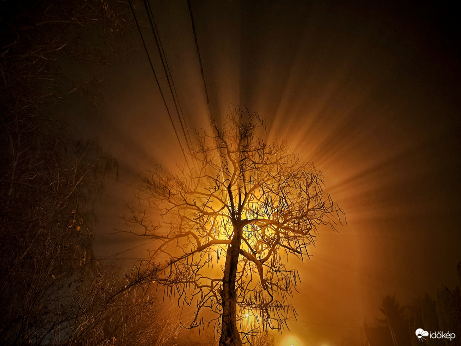 Ködös utcai varázslat