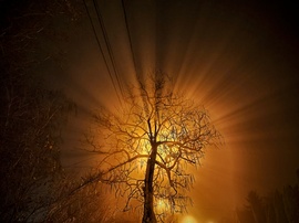 Ködös utcai varázslat