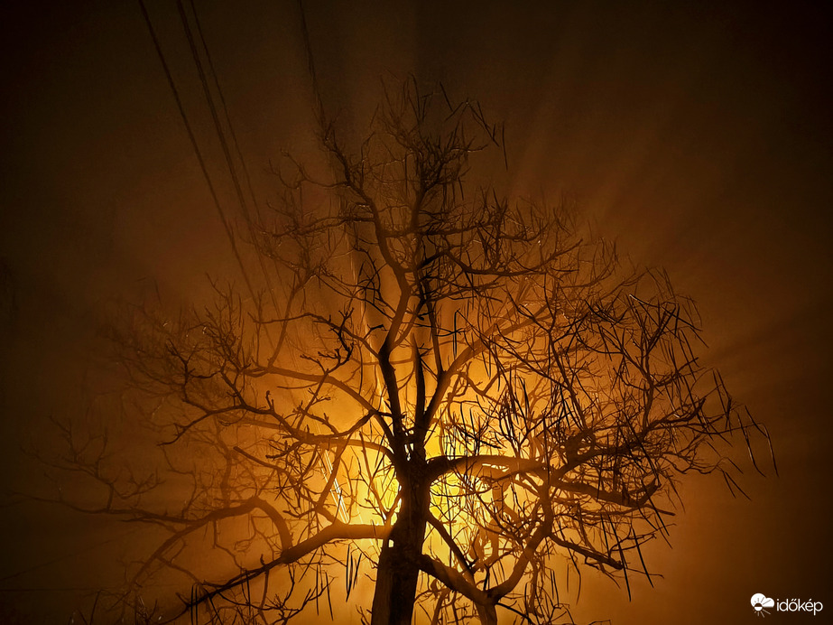 Leszállt a decemberi köd