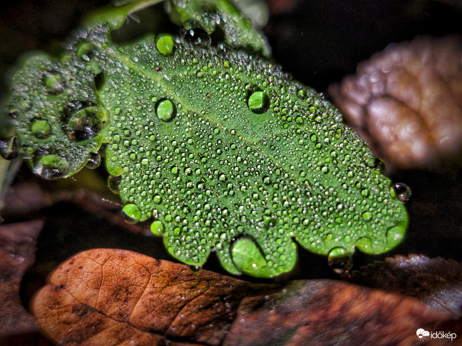 Ködszitálás ékszerei