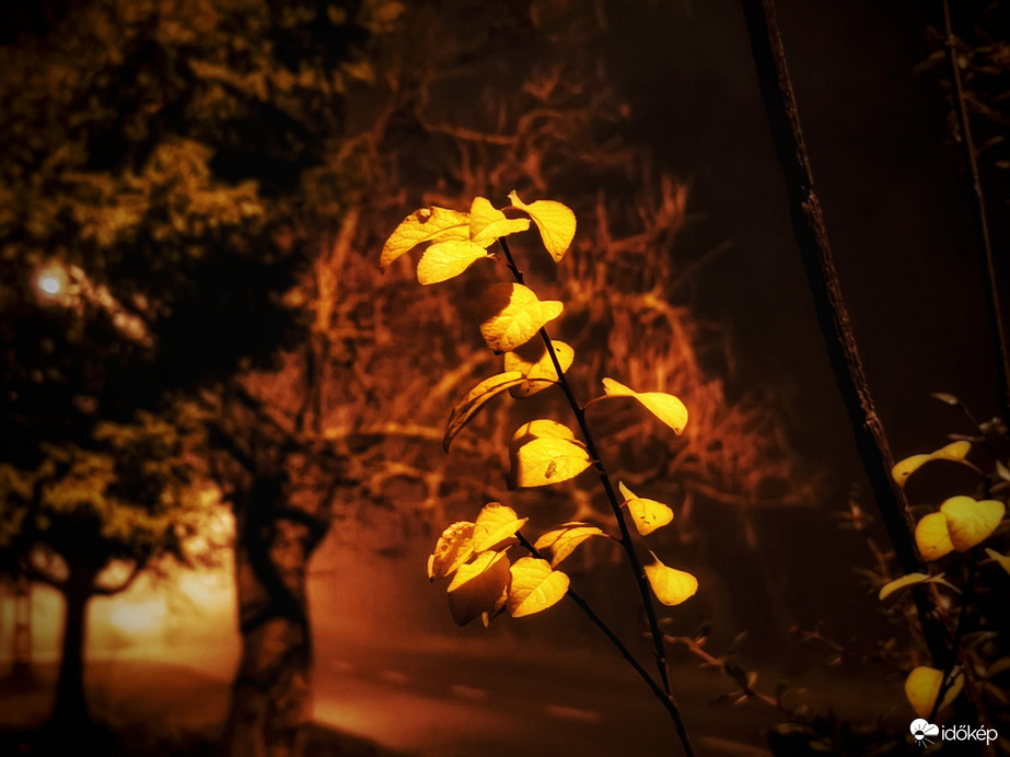 Újfent leszállt a köd közénk