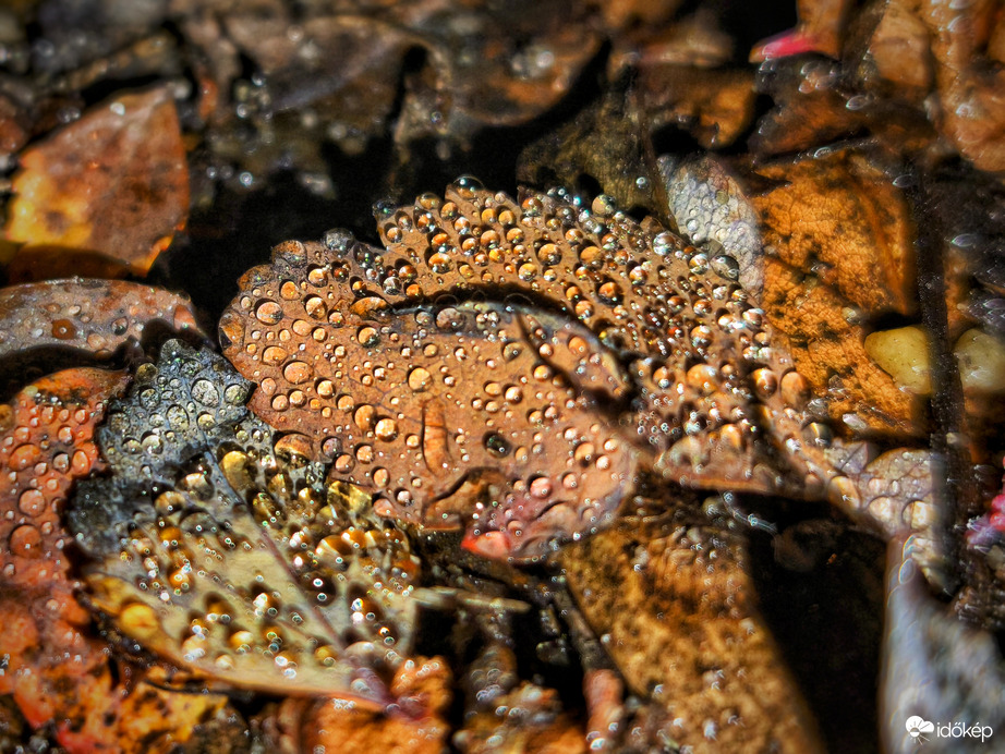 Szitálás a decemberi estében