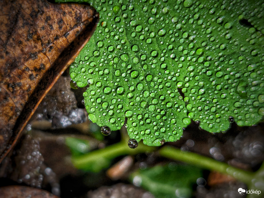 Szitálós idő adventi kivilágítása
