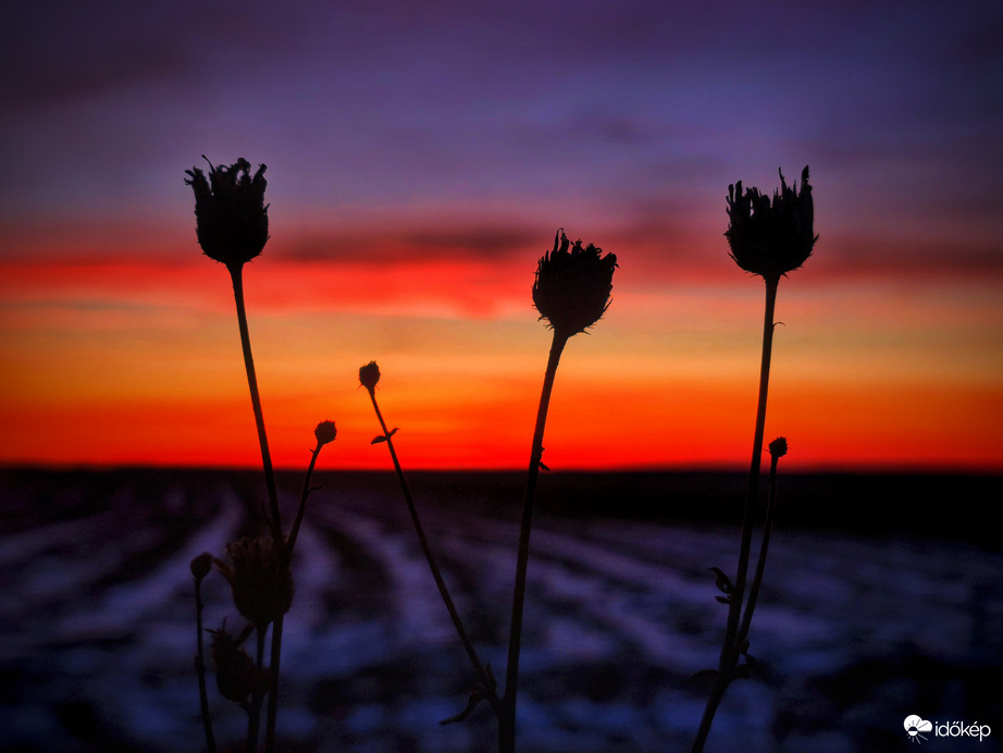 Az év első alkonyának végén