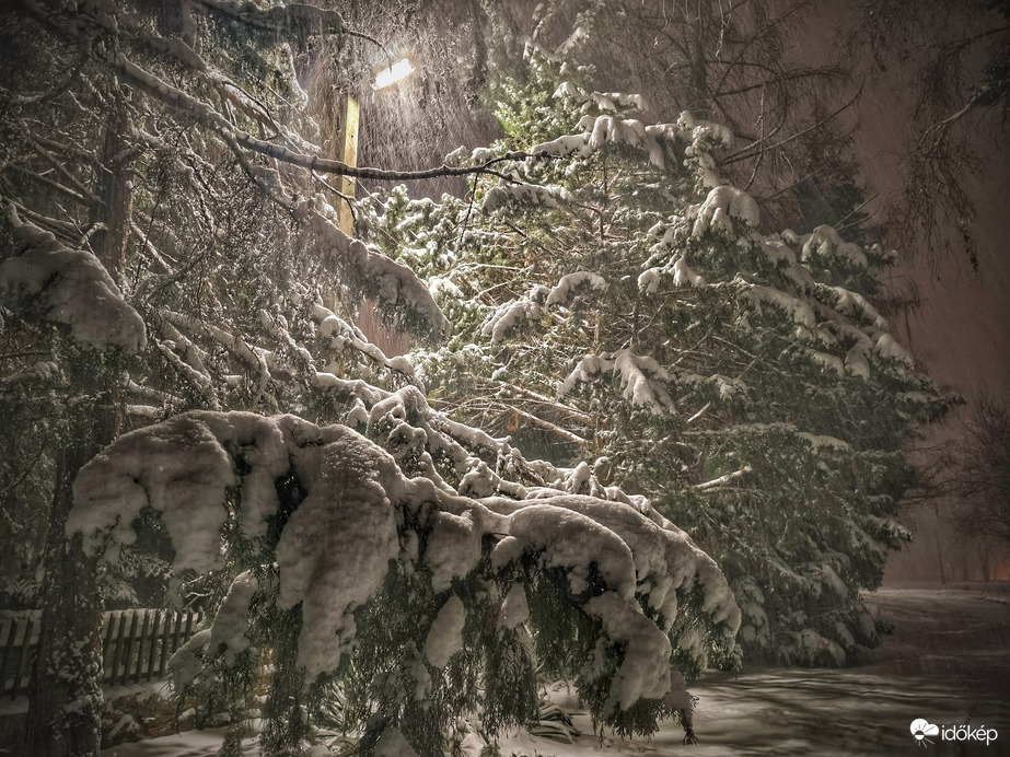 16 cm hó súlya alatt roskadozva