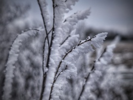 A tapintható mínuszok
