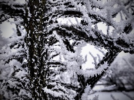 Zúzmarás kontraszt