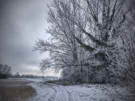 Kanyar a zúzmara földjén