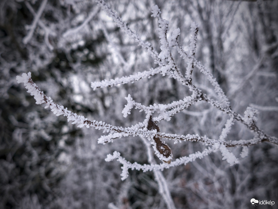 Gallyak januári díszítése