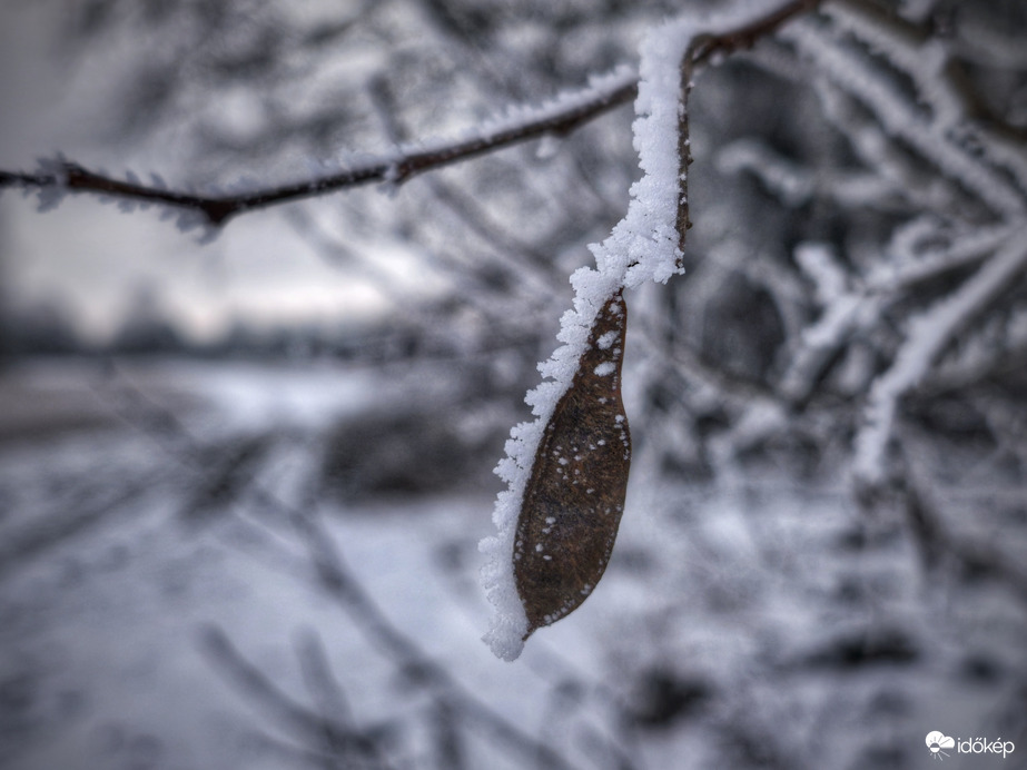 Zúzmarás köd varázsa