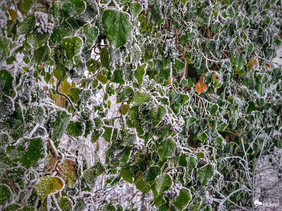 Zúzmarás háttérkép