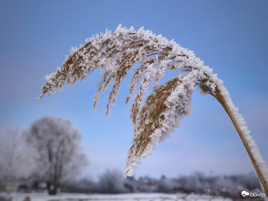 Kiengesztelődés kezdetén
