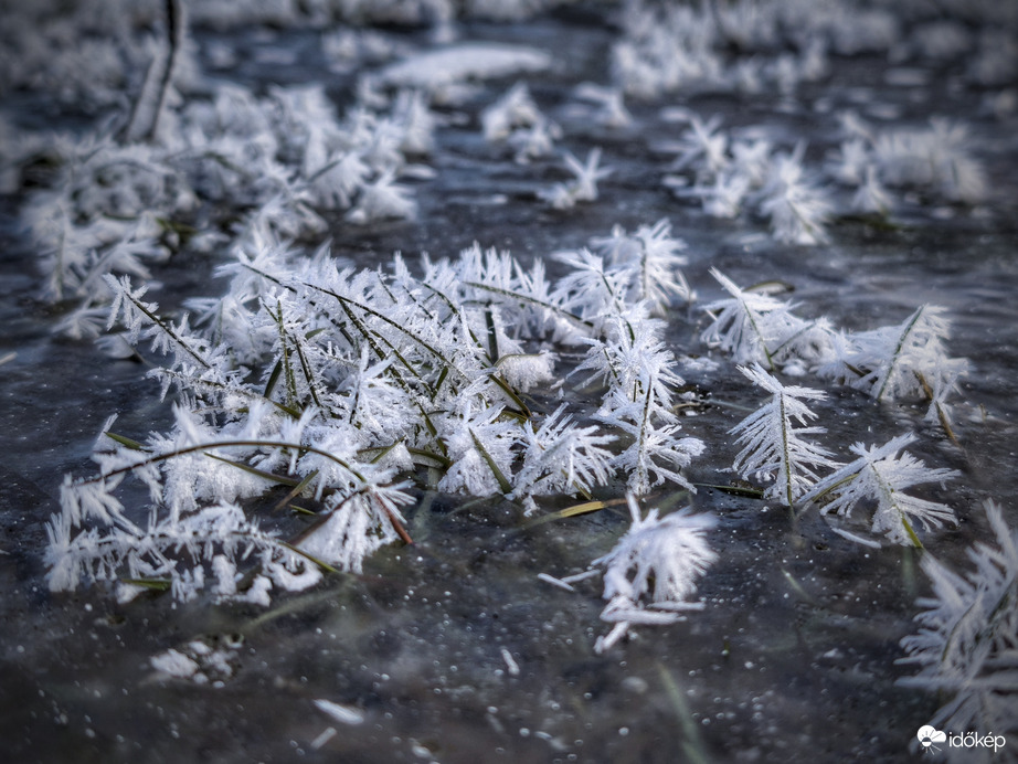 Törékeny alkotások a jégen