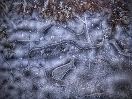 Tócsa "madártávlatból"