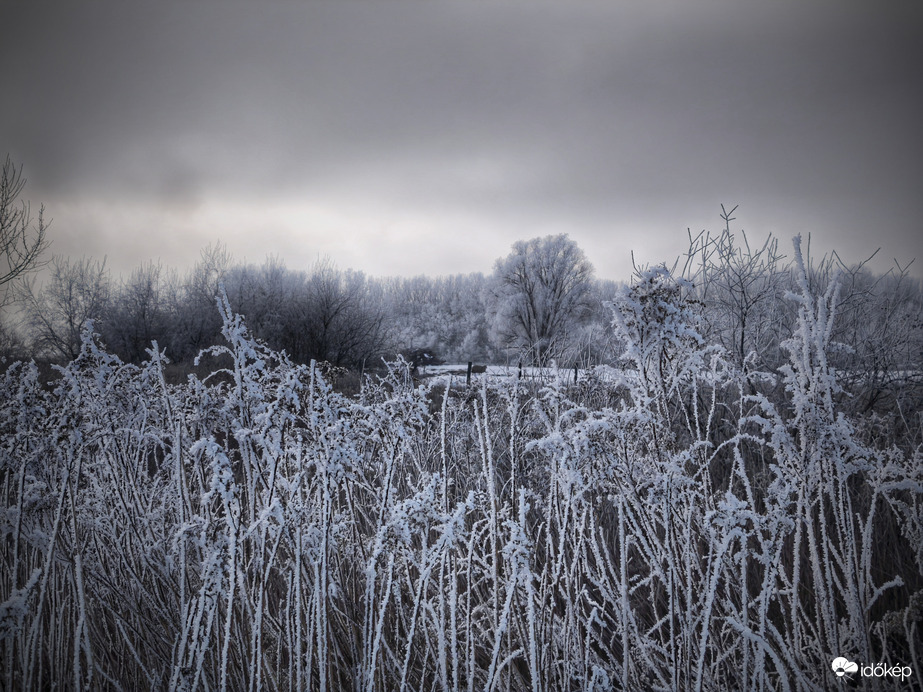 Fagyba zárt táj