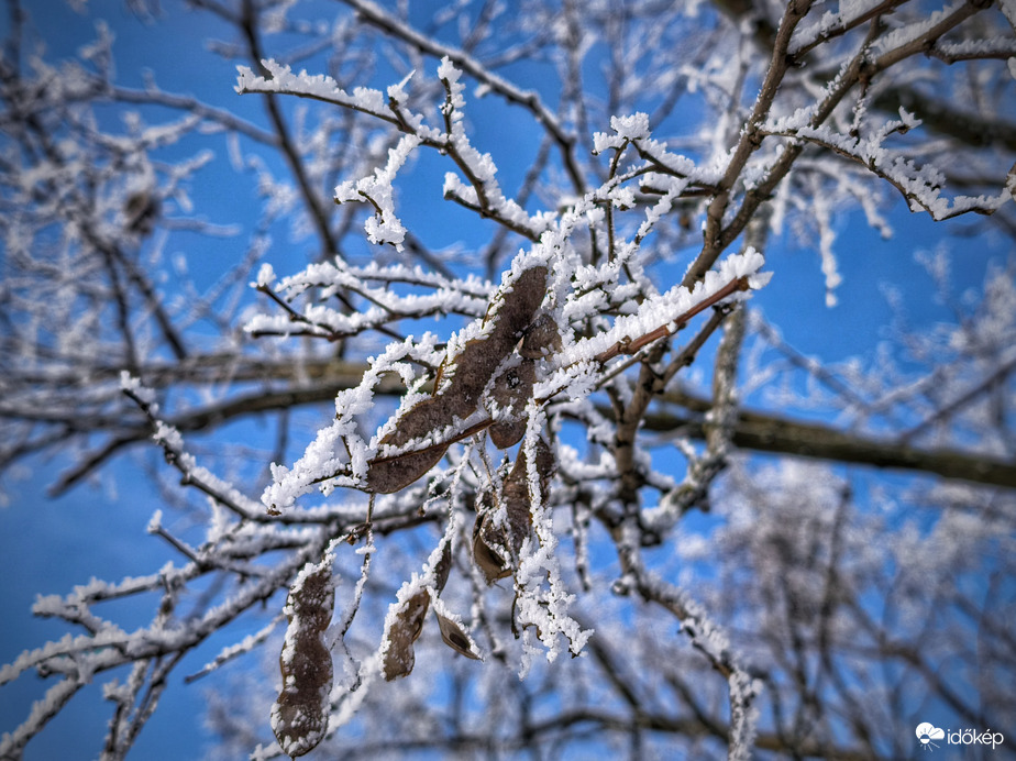 Dermesztő fagyok végén