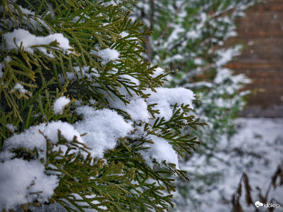 4-5 cm között járunk