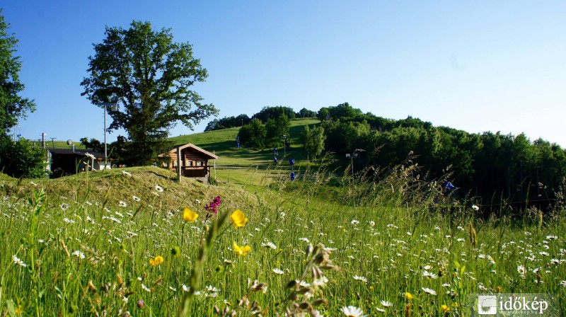 Júniusi színkavalkád a Mátrában!