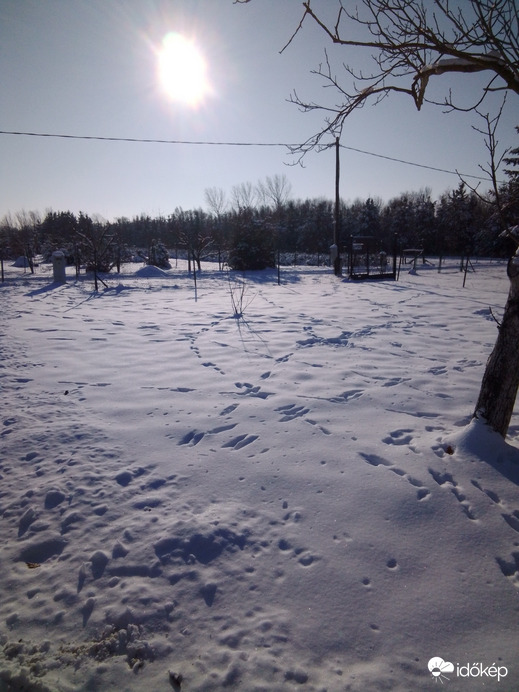 Észlelési fényképek