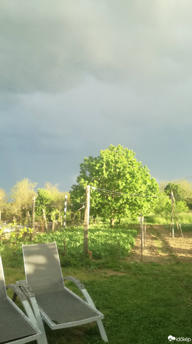 Észlelési fényképek