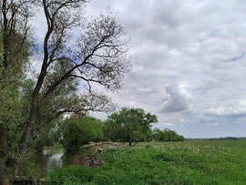 Veľká Ves nad Ipľom